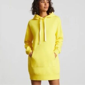 Everlane The Hoodie Dress Cotton Sweatshirt Dress